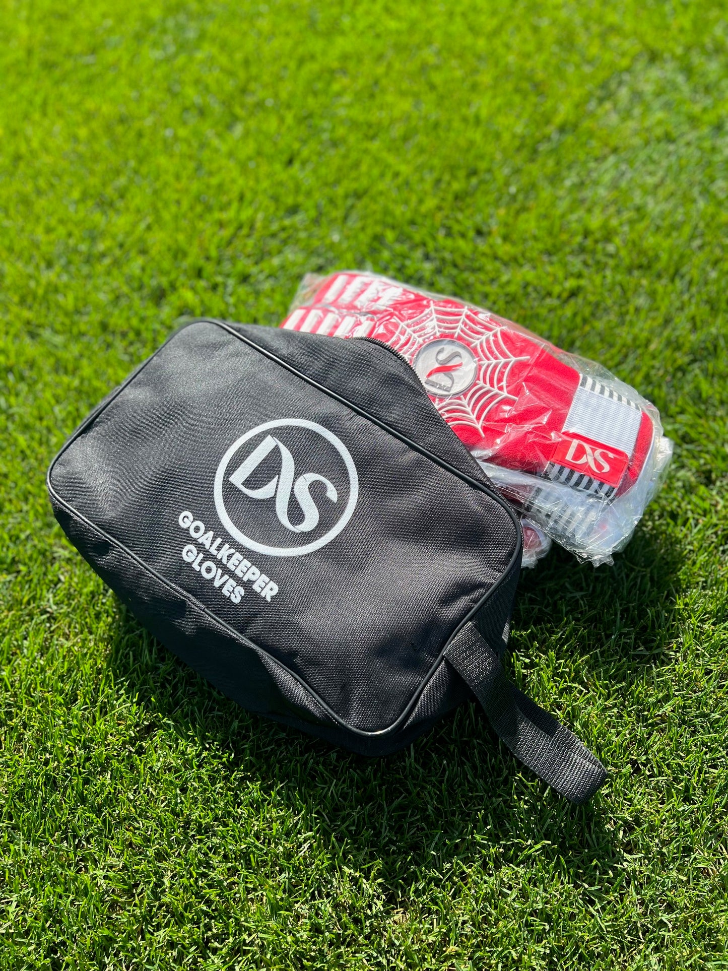 DS Glove Bag