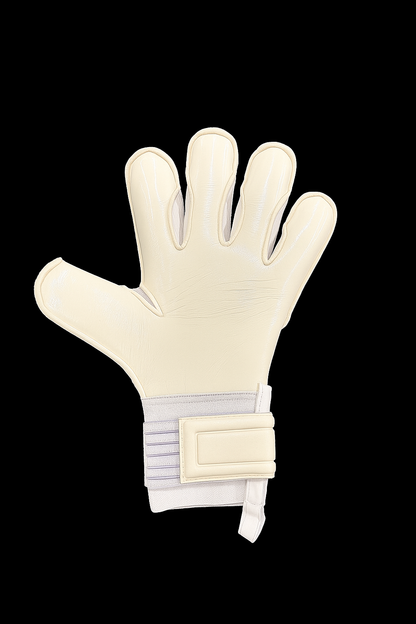 DS Goalkeeper Gloves - V1 EC white